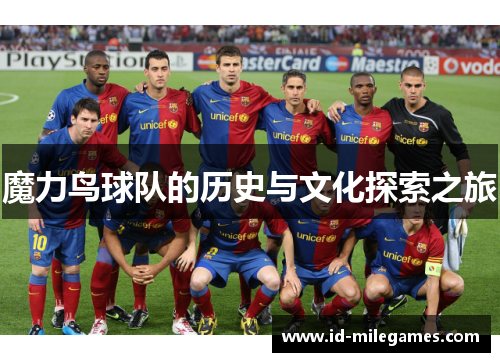 魔力鸟球队的历史与文化探索之旅